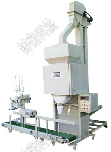 �ЙC�ʶ������b��