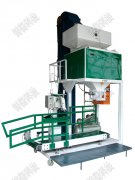 <b>悽���ʽ�������b��</b>